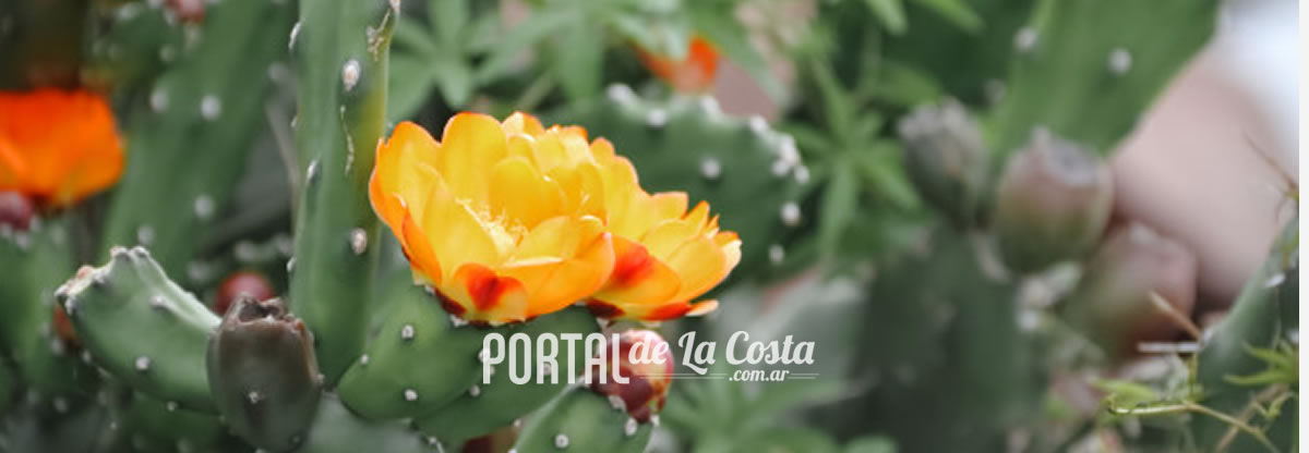 Noticias de La Costa