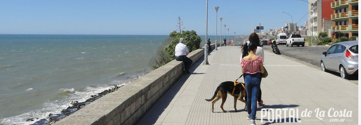 Portaldelacosta.com.ar - Mascotas