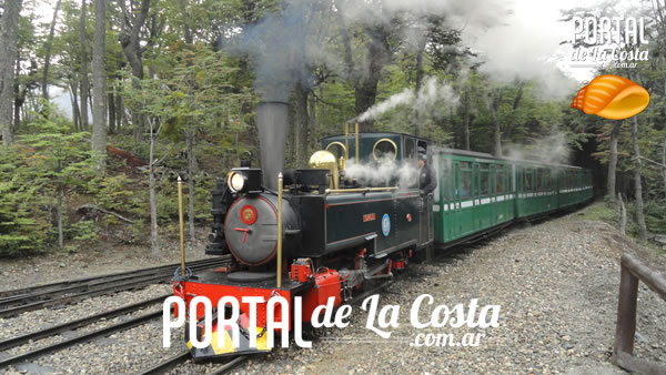 Mundo Marino - San Clemente